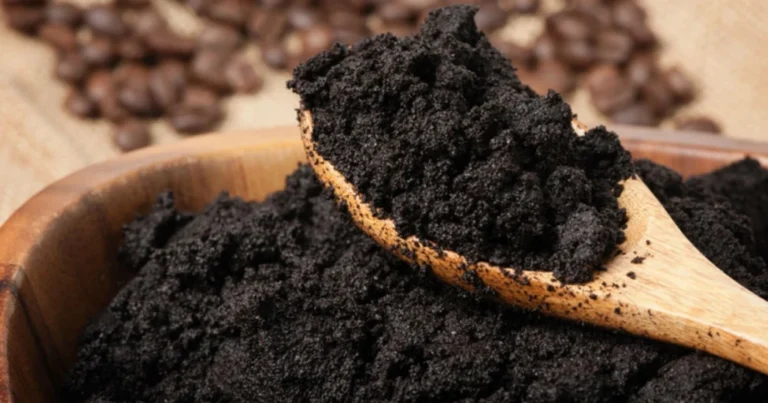 Le marc de café : l’or noir du recyclage au quotidien